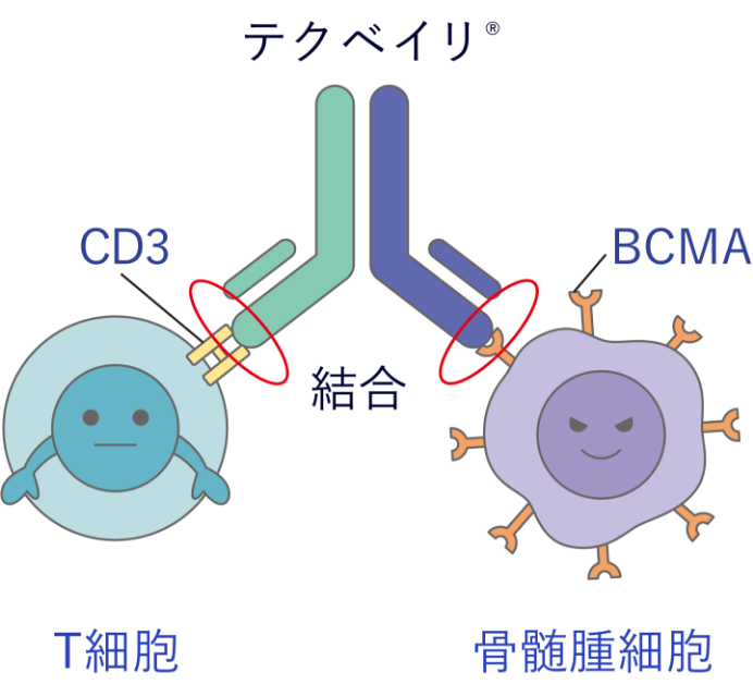 テクベイリ®作用前のイラスト