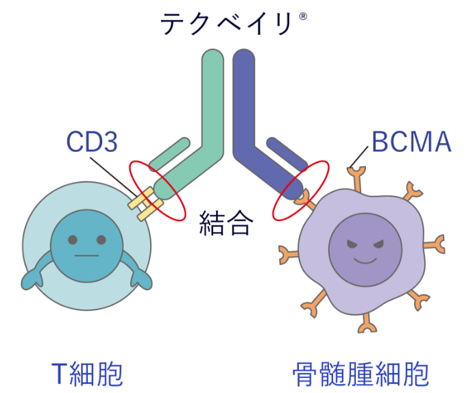 テクベイリ®作用前のイラスト