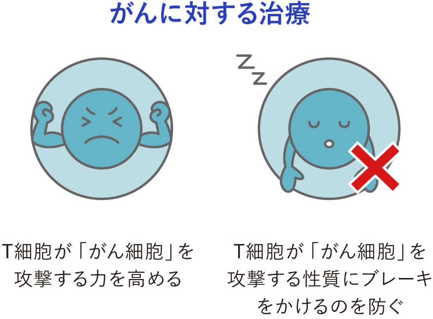 がんに対する治療 T細胞が「がん細胞」を攻撃する力を高める、T細胞ががん細胞を攻撃する性質にブレーキをかけるのを防ぐ