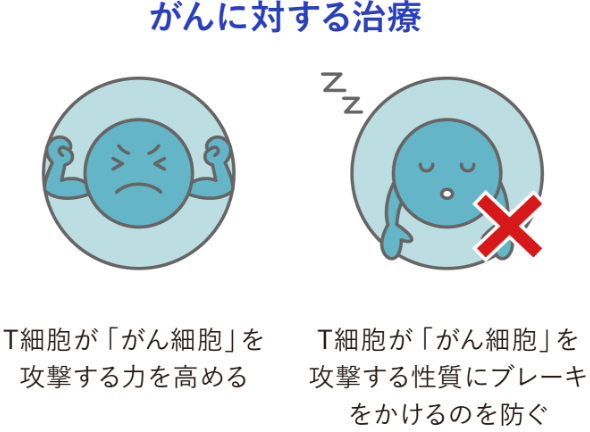 がんに対する治療 T細胞が「がん細胞」を攻撃する力を高める、T細胞ががん細胞を攻撃する性質にブレーキをかけるのを防ぐ